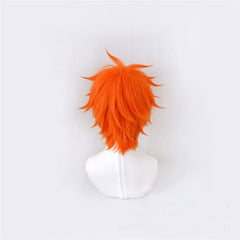 Meister Eder Und Sein Pumuckl Perücke kurzhaar Cosplay Perücke