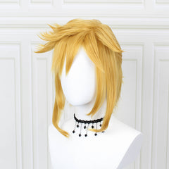 The Legend of Zelda Link Perücke Cosplay Perücke