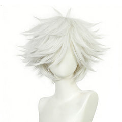 Qifrey silber Perücke Witch Hat Atelier Qifrey Cosplay Perücke