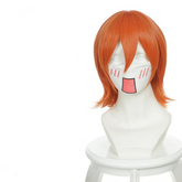 One Piece Nami Cosplay Perücke