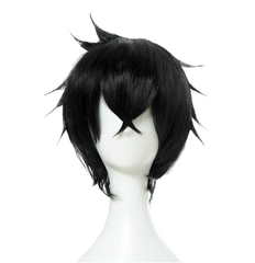 Naofumi Iwatani Tate no Yuusha no Nariagari Naofumi Iwatani Cosplay Kostüm