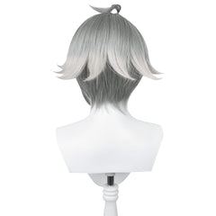 Genshin Impact AlHaitham Cosplay Perücke Hitzebeständige Haar Karneval Halloween Party Requisiten