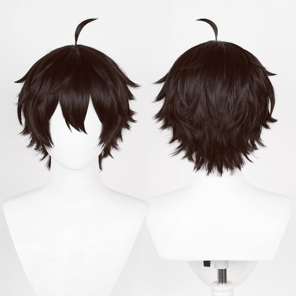 Honkai: Star Rail Dan Heng Cosplay Perücke Hitzebeständiges Haar Karneval Party Requisiten