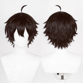 Honkai: Star Rail Dan Heng Cosplay Perücke Hitzebeständiges Haar Karneval Party Requisiten