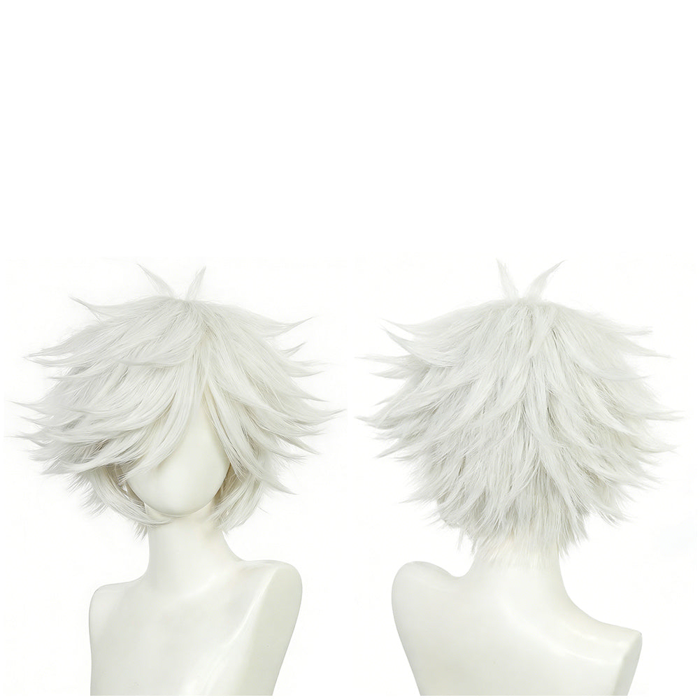 Qifrey silber Perücke Witch Hat Atelier Qifrey Cosplay Perücke