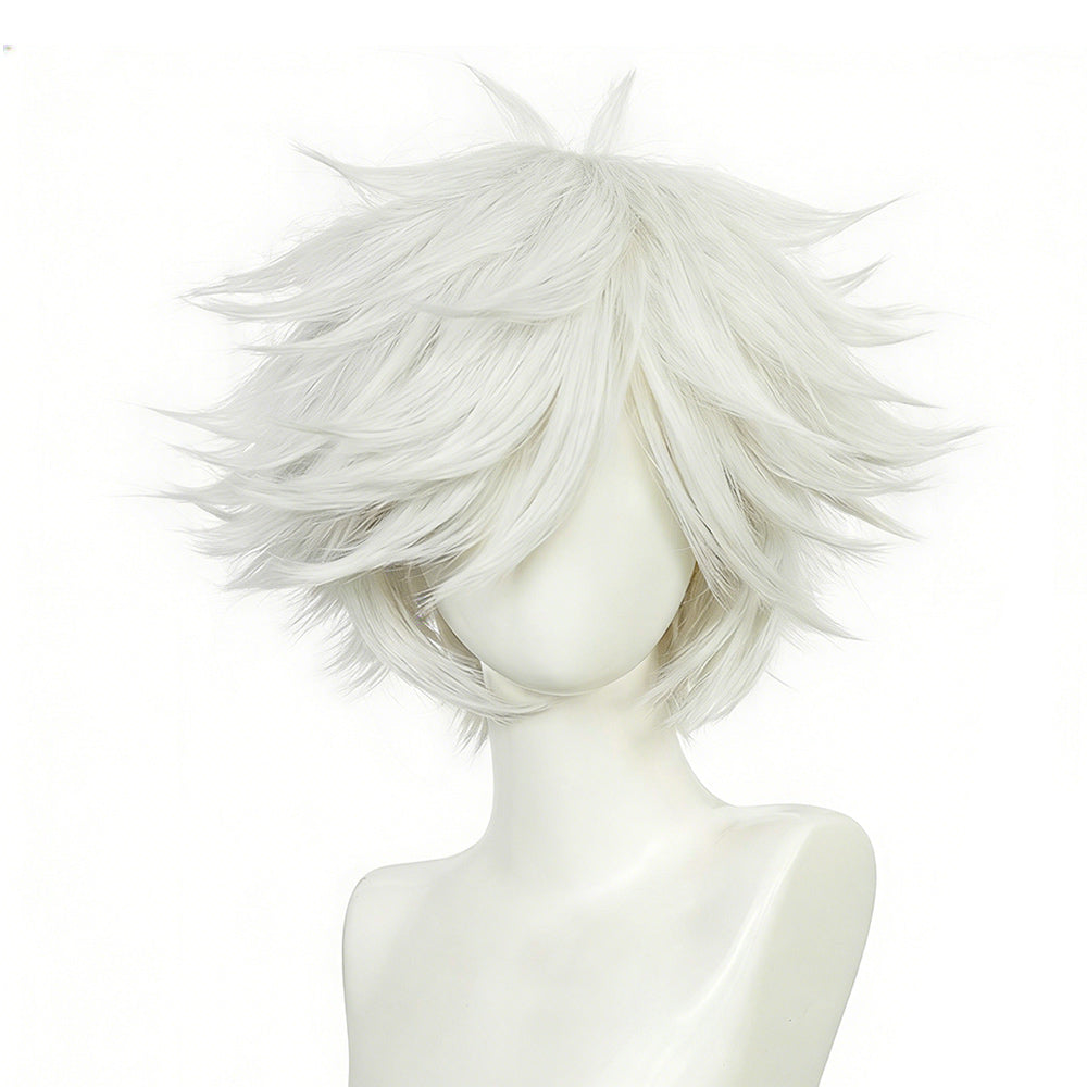 Qifrey silber Perücke Witch Hat Atelier Qifrey Cosplay Perücke