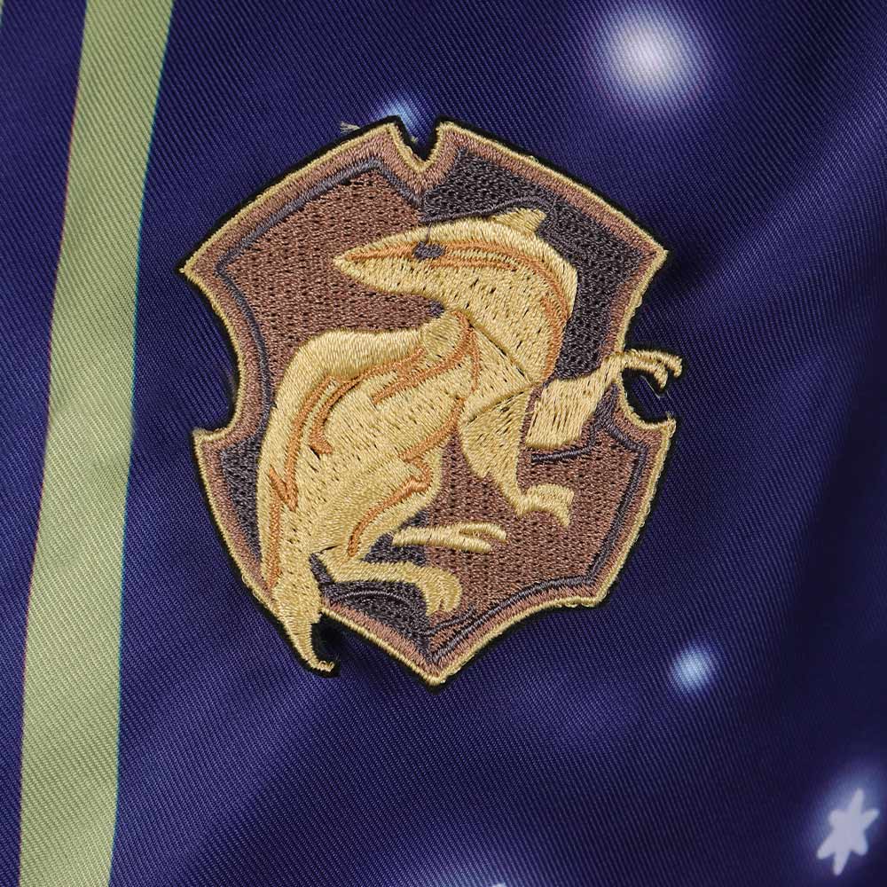 Hogwarts Legacy PIN Haus Abzeichen Cosplay Requisite